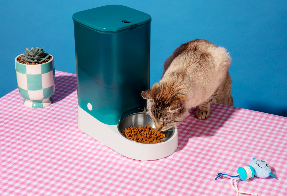Never Miss a Mealtime Again!